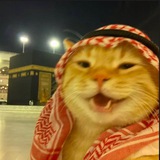 Telegram profile photo for Ворон🩸