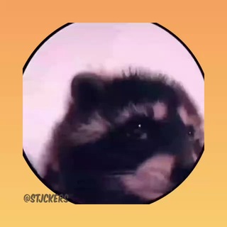 Telegram profile photo for ינון מגל