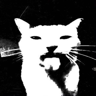 Telegram profile photo for DARKNESS.INFO