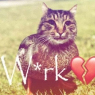 Telegram profile photo for Обучение @swagereg