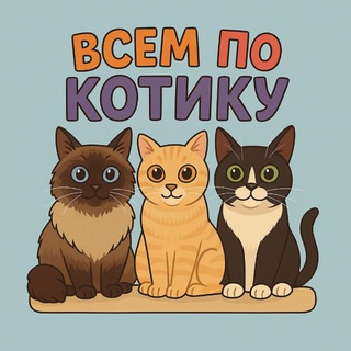 Telegram profile photo for Всем по котику 🐈 / Королёв / Москва