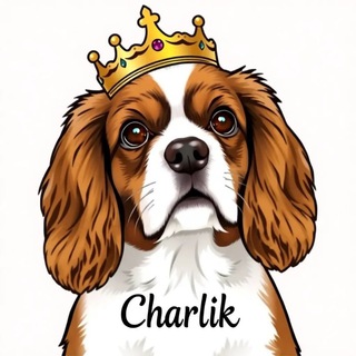 Telegram profile photo for Малыш Чарли🐾