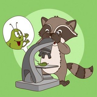 Telegram profile photo for Биология ЕГЭ 100БАЛЛОВ