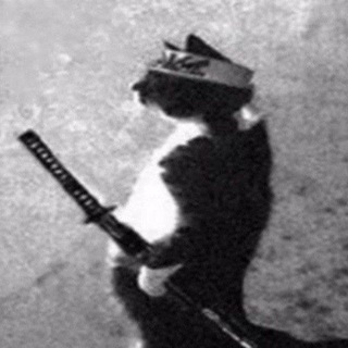 Telegram profile photo for SAMURAI CAT