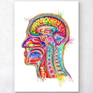 Telegram profile photo for Radiology Community