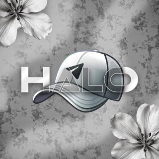 Telegram profile photo for HALO
