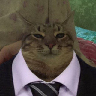 Telegram profile photo for ЧВК "ЗАВОД"