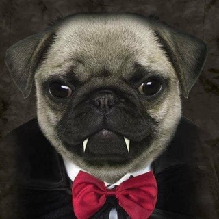 Telegram profile photo for Логово шургена