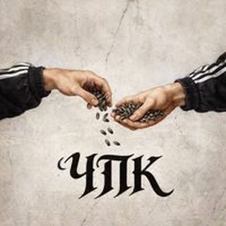 Telegram profile photo for Чо по культуре?