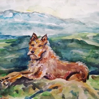 Telegram profile photo for Южный Урал глазами Дюка