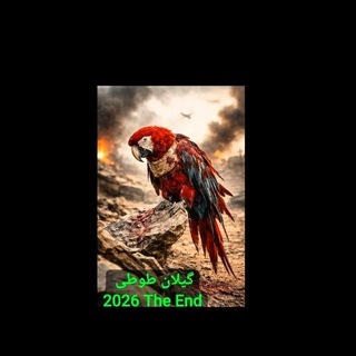 Telegram profile photo for گیلان طوطی آموزش نگهداری طوطی راهب گرینچیک عروس ملنگو کوتوله شاه طوطی خورشیدی