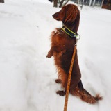 Telegram profile photo for ТАКСОПАРК