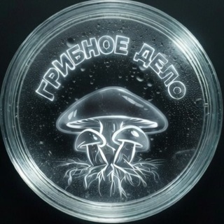 Telegram profile photo for Грибное Дело