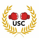 Telegram profile photo for USPTU School Challenge