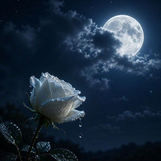 Telegram profile photo for غـريـبـةالـديـار