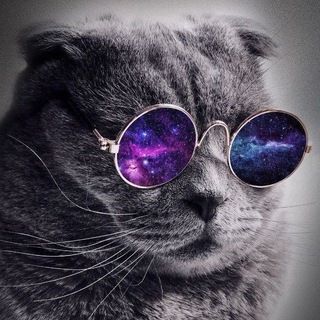 Telegram profile photo for پیک نیک نیوز | N.P