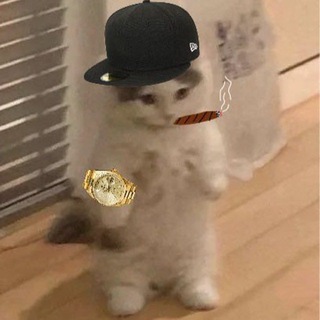 Telegram profile photo for ALPHA