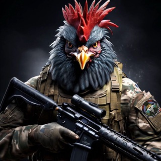Telegram profile photo for Док 🥷 Лютої 🐥 «ЦИПИ»