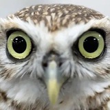 Telegram profile photo for Мудрость жизни