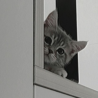 Telegram profile photo for Чайхана