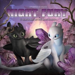 Telegram profile photo for Night Fury: OPEN DAILY