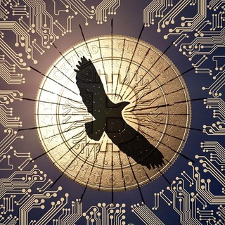 Telegram group profile photo for Nusur Al Crypto | نسور الكريبتو 🇸🇦🇪🇬
