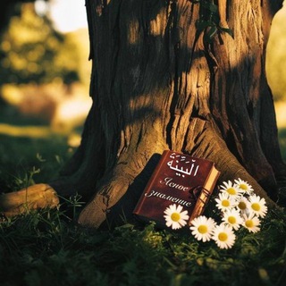 Telegram profile photo for al_bayyinah
