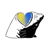 Telegram profile photo for Акули України