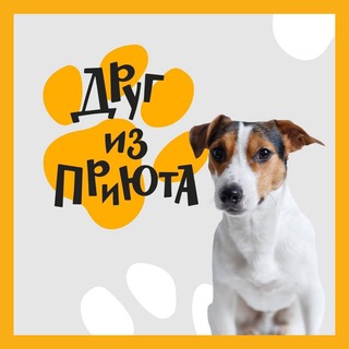 Telegram profile photo for Друг из приюта FABERLIC