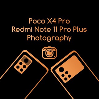 Telegram group profile photo for Poco X4 Pro / Note 11 Pro Plus Photography