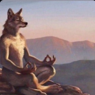 Telegram profile photo for Danknetics