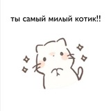Telegram profile photo for пук бормнн