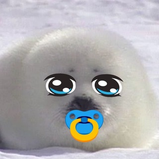 Telegram profile photo for морепродукtt