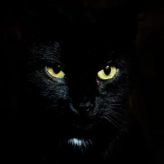 Telegram profile photo for Мой мир через объектив