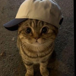 Telegram profile photo for выходные рыжей😇
