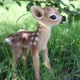 Telegram profile photo for переходник