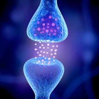 Telegram profile photo for Hanf und das endogene Cannabinoid System