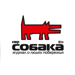Telegram profile photo for Собака.ru | Побережье