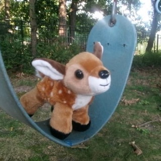Telegram profile photo for erdo
