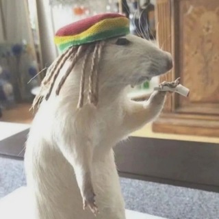 Telegram profile photo for пrиклю4ение муmи-троllей