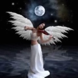 Telegram profile photo for radde paaye мaнтaaв