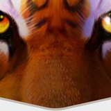 Telegram profile photo for Bushido Ways xNudge (NoLimit City) - Игровой автомат, играть в слот бесплатно, демо-версия, без регистрации