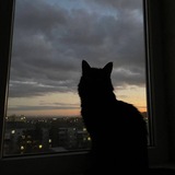 Telegram profile photo for ³³³ bio