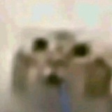 Telegram profile photo for щп Пуфи!