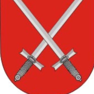 Telegram profile photo for Ельск официальный
