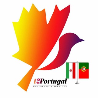 Telegram profile photo for i2Porto