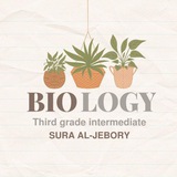 Telegram profile photo for Biology | ثالث متوسط - متميزين
