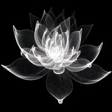 Telegram profile photo for 𝗭𝗮𝗺𝗲𝘁𝗸𝗶