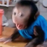 Telegram profile photo for empty memes