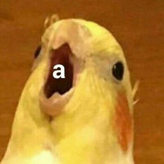 Telegram profile photo for бурчу на книги